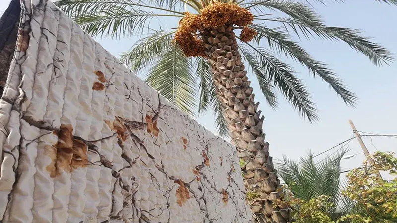 رضایت مشتری سرای خواب یک